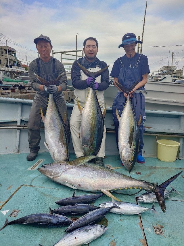 キハダ・カツオ