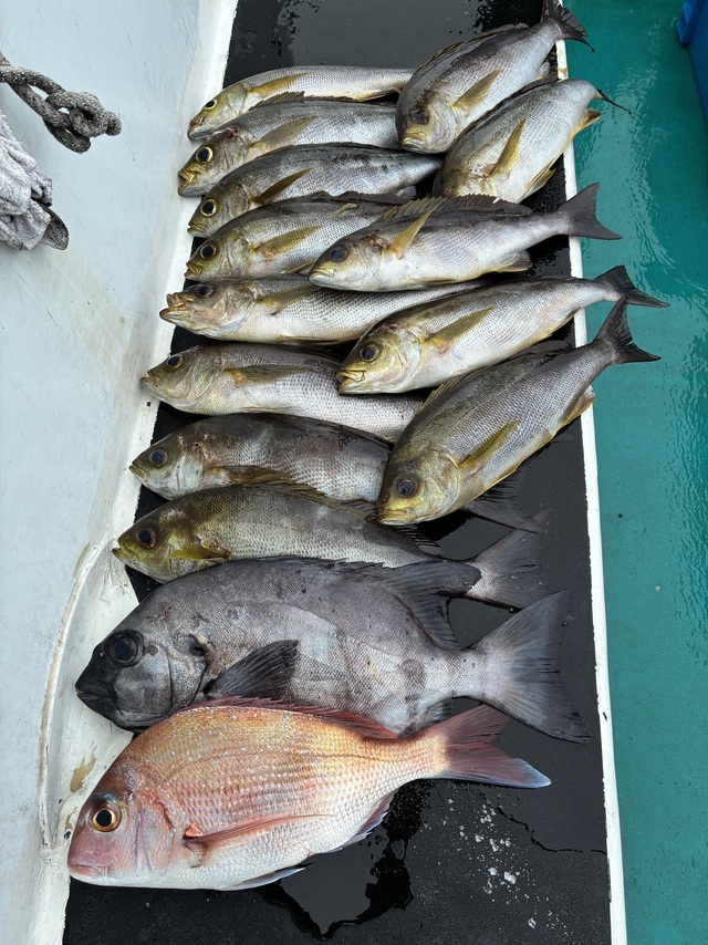 マダイ・イシダイ