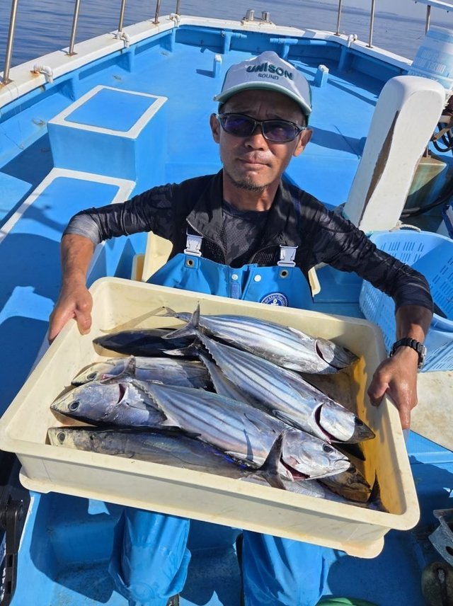 ホンガツオ(カツオ)