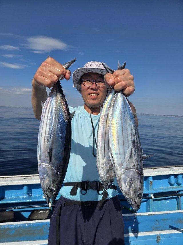 ホンガツオ(カツオ)