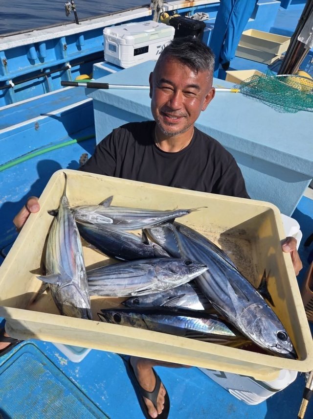 ホンガツオ(カツオ)