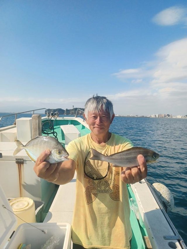 カイワリ・イサキ