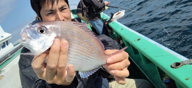 ハナダイ(チダイ)