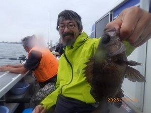 メバル