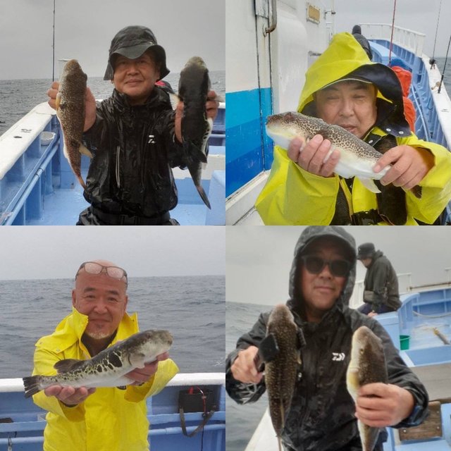 ショウサイフグ