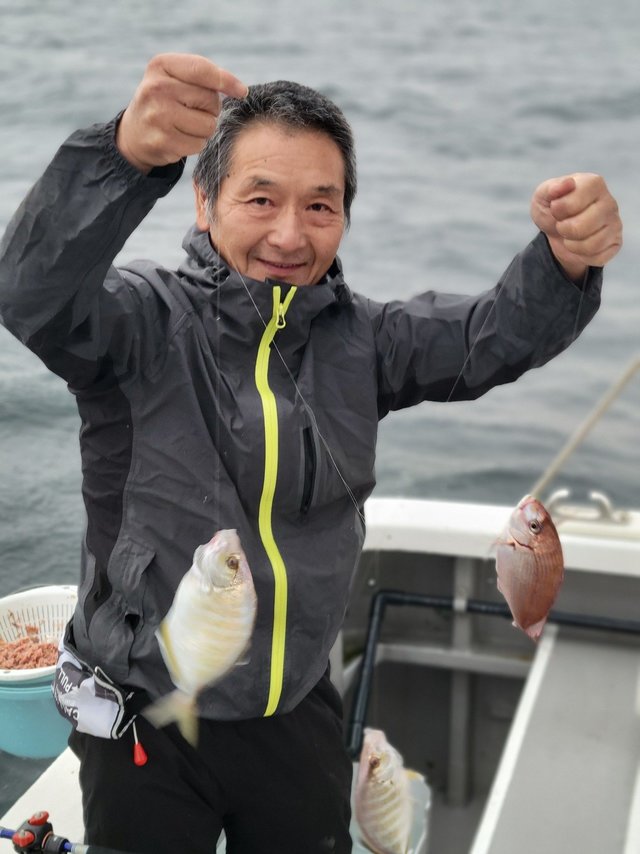 マダイ・カイワリ