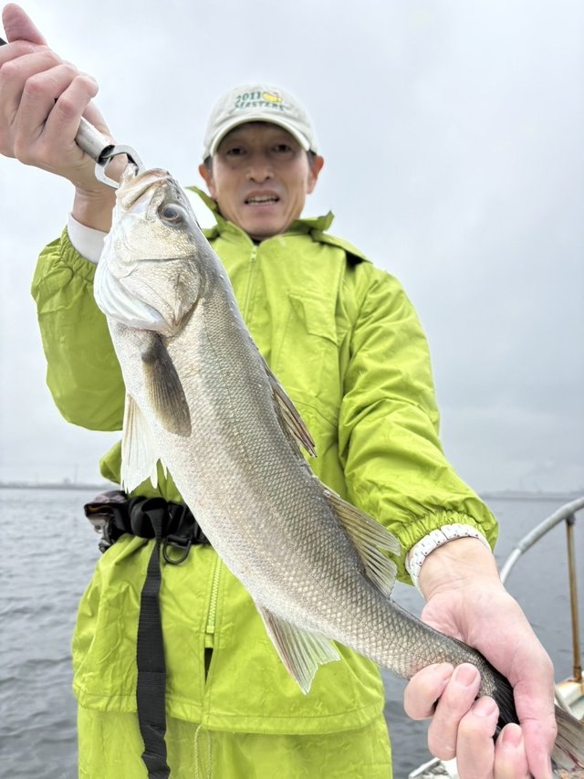 シーバス(スズキ)