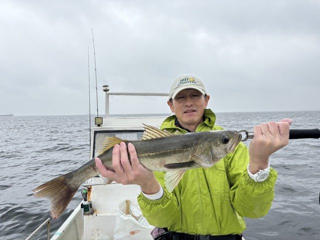 シーバス(スズキ)