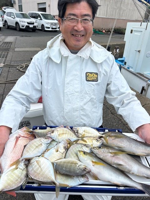 ハナダイ(チダイ)・カイワリ・イサキ