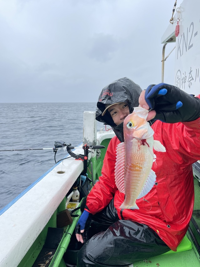 アマダイ(アカアマダイ)