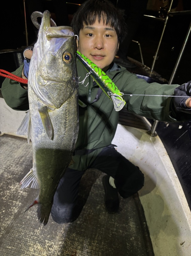 シーバス(スズキ)