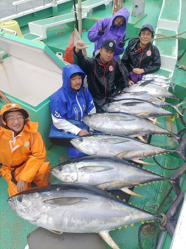 マグロ(キハダ)