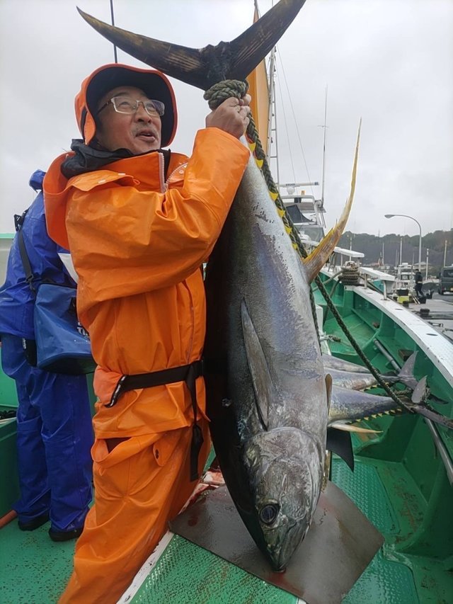 マグロ(キハダ)