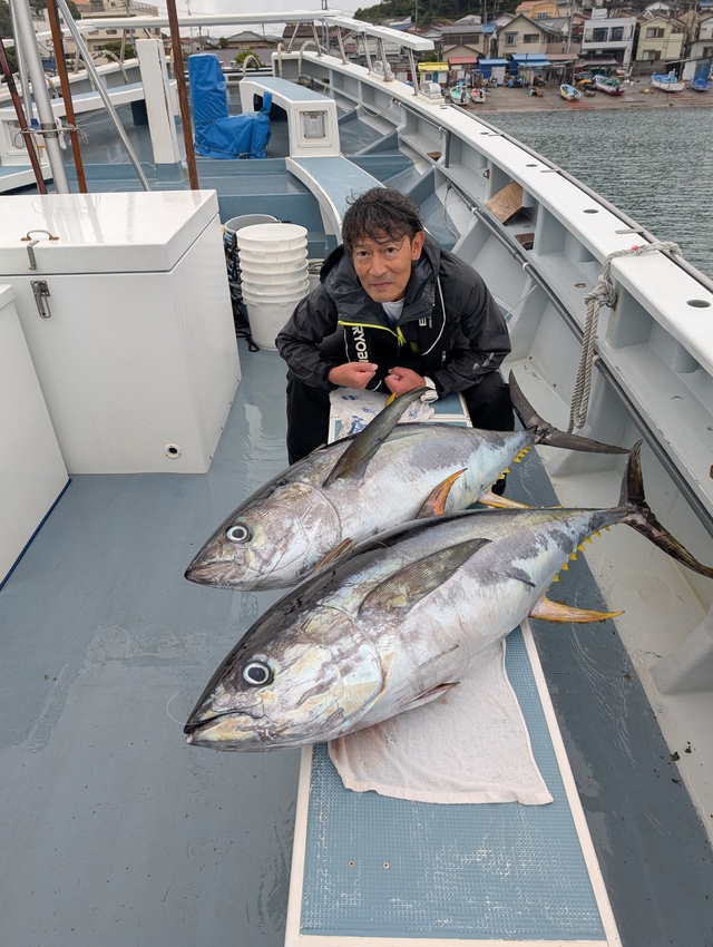 キハダマグロ(キハダ)