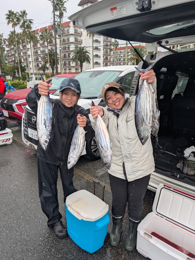 ホンガツオ(カツオ)