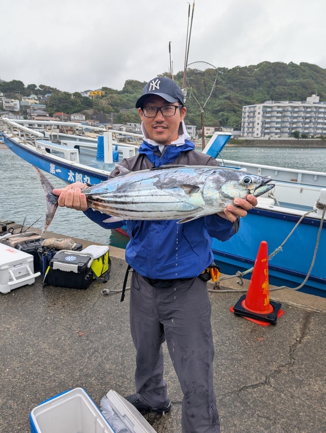 ホンガツオ(カツオ)