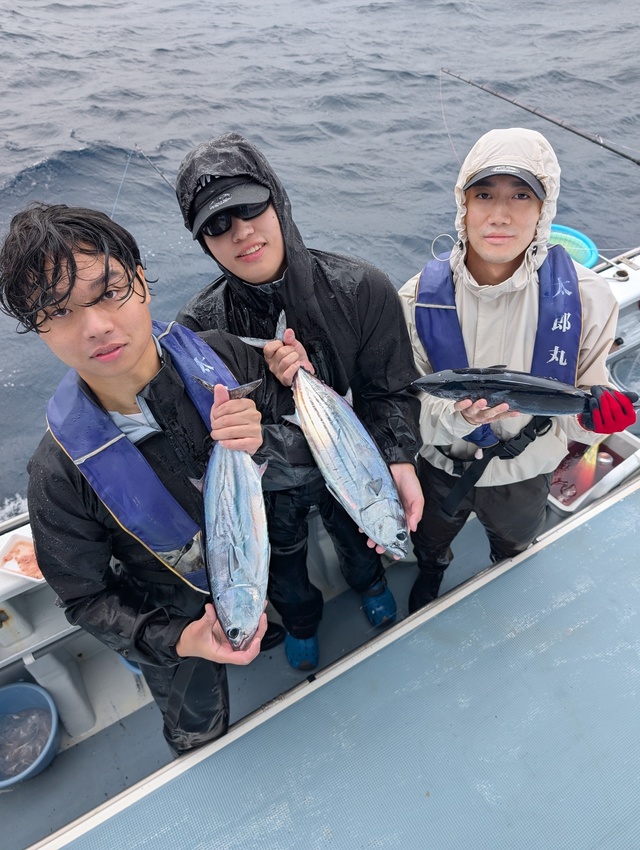 ホンガツオ(カツオ)