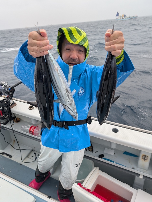 ホンガツオ(カツオ)