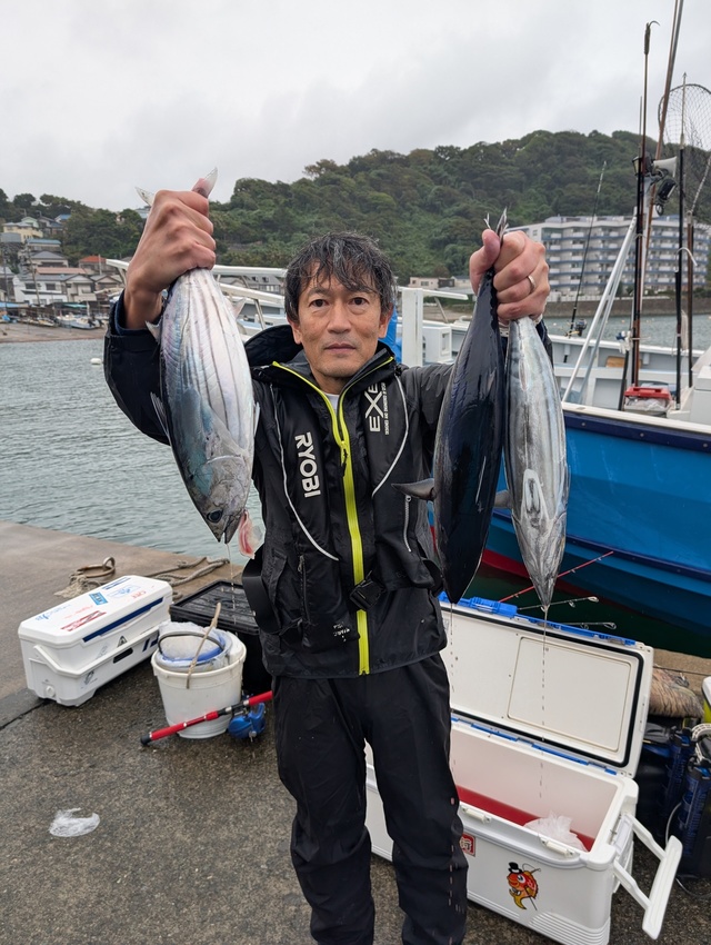 ホンガツオ(カツオ)