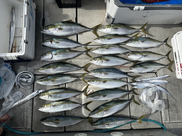 ブリ・メジロ(ブリ)・タチウオ