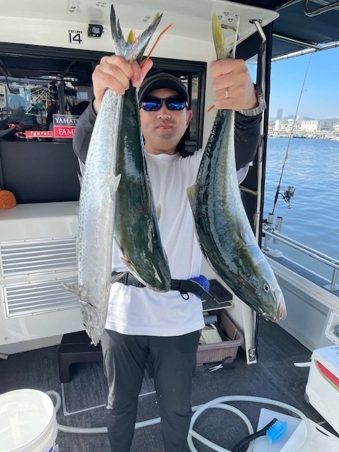 ハマチ(ブリ)・サワラ