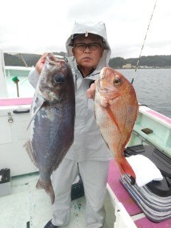 マダイ・メダイ