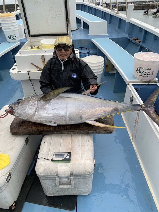 キハダマグロ(キハダ)