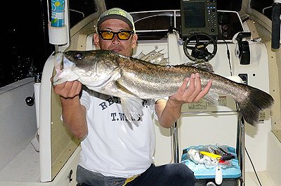 シーバス(スズキ)