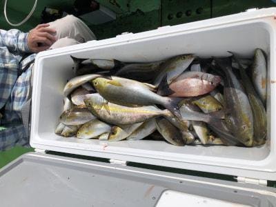 チダイ・イサギ(イサキ)