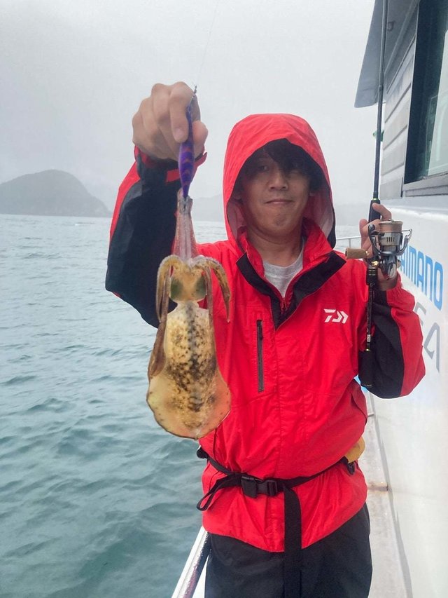 アオリ(アオリイカ)