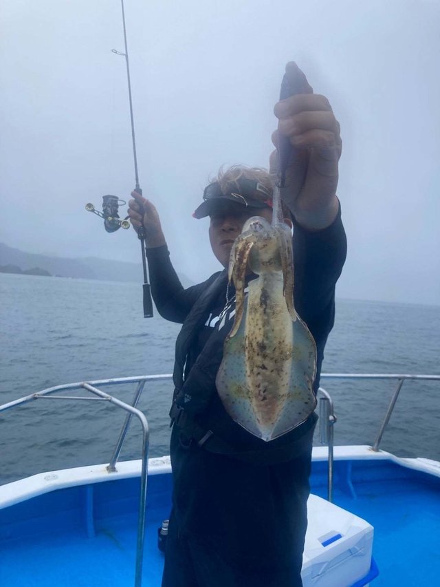 アオリ(アオリイカ)