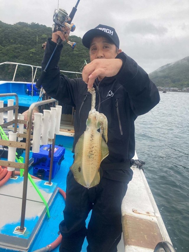 アオリ(アオリイカ)