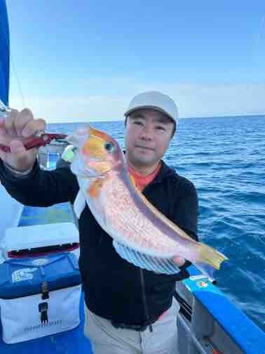 アマダイ(アカアマダイ)