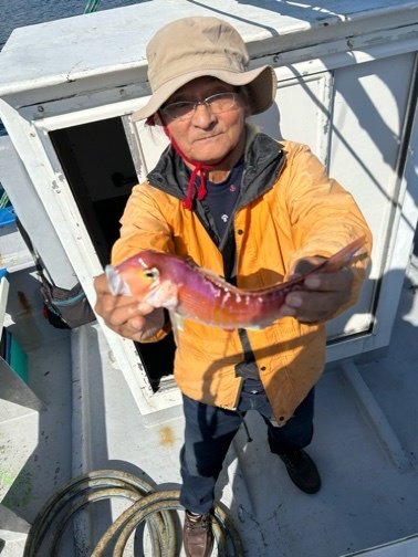 アマダイ(アカアマダイ)