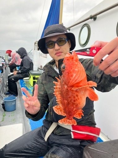 カンコ(ウッカリカサゴ)