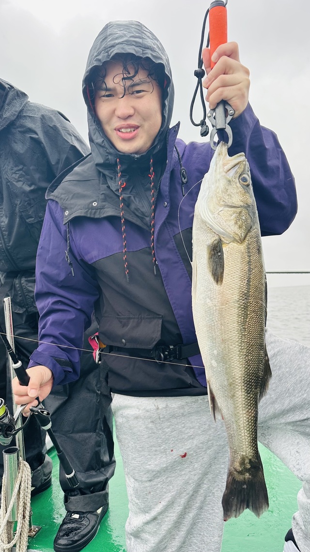 シーバス(スズキ)