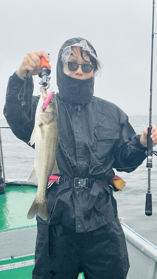 シーバス(スズキ)