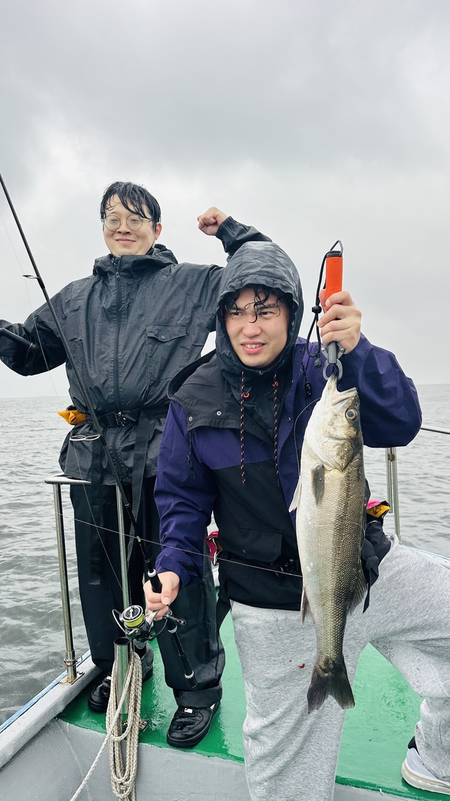 シーバス(スズキ)