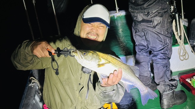 シーバス(スズキ)