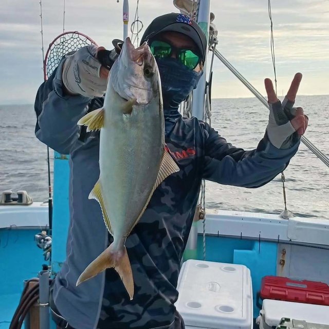 ネリゴ(カンパチ)