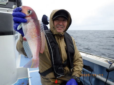 アマダイ(アカアマダイ)