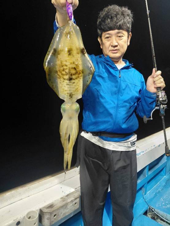 アオリ(アオリイカ)