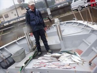 マダイ・メジナ・オオモンハタ