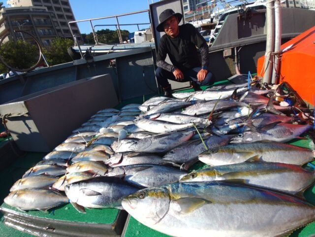 カンパチ・コシナガ