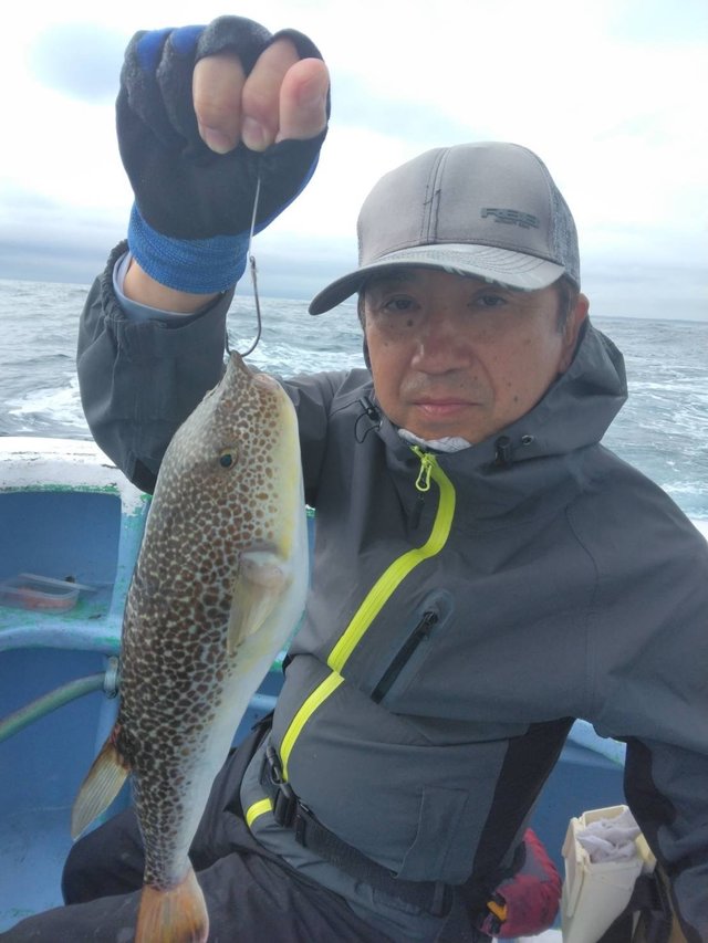 ショウサイフグ