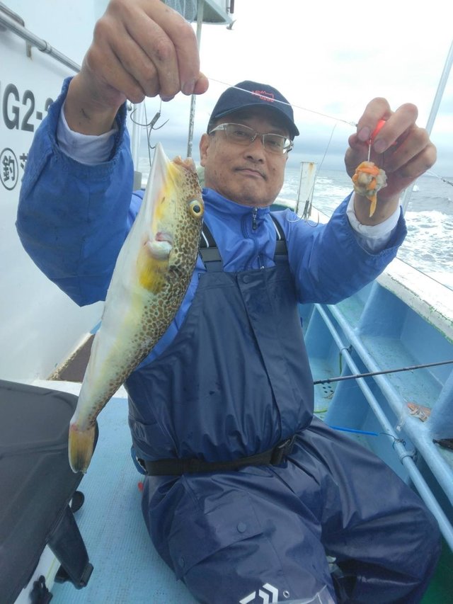 ショウサイフグ