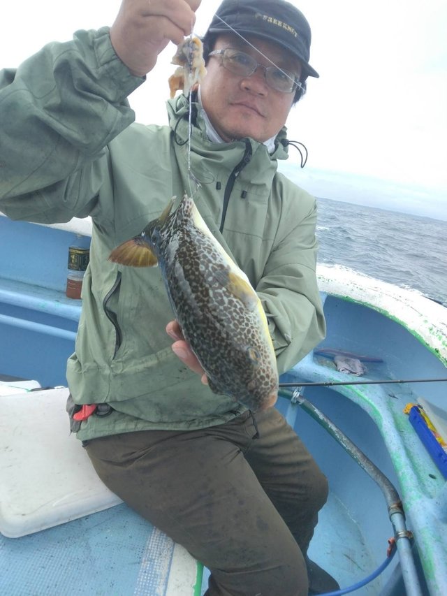 ショウサイフグ