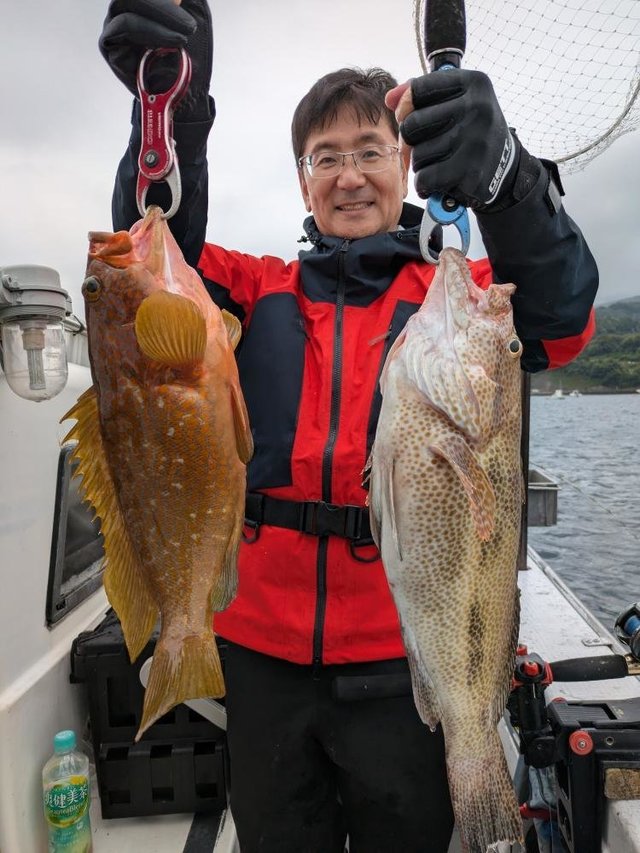 オオモンハタ・キジハタ