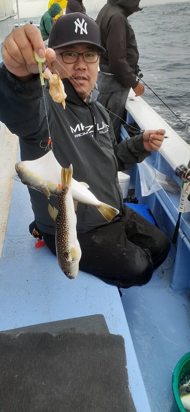 ショウサイフグ