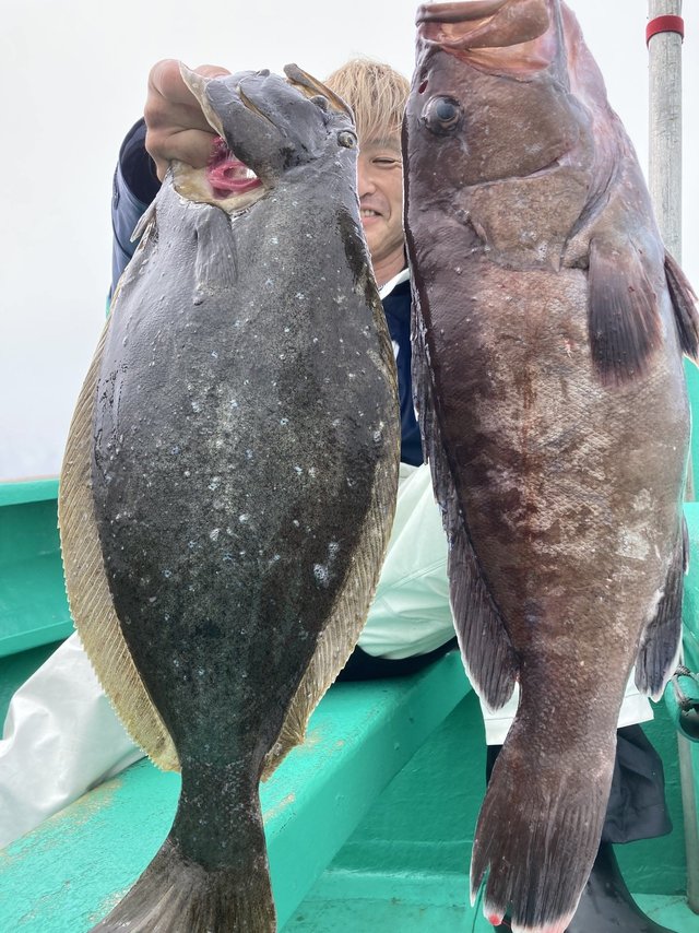 マハタ・ヒラメ